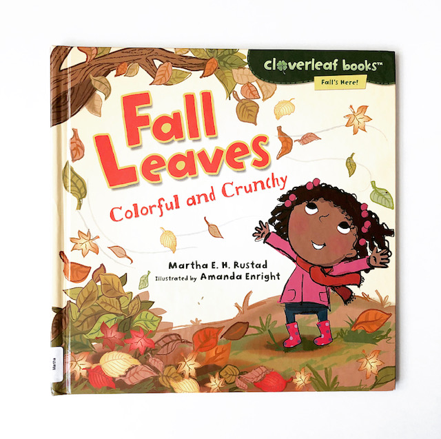 Fall Books 6