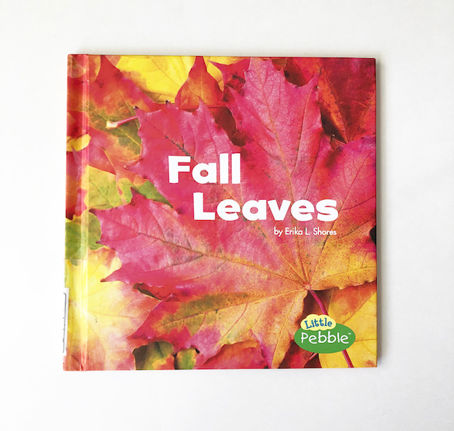 Fall Books 8
