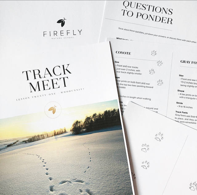 Animals of the North 4