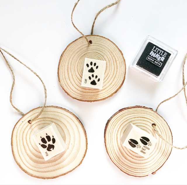 Animals of the North 5